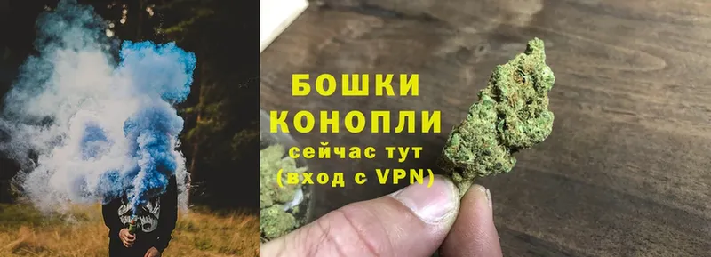 гидра ONION  площадка какой сайт  Бошки Шишки THC 21%  сколько стоит  Зеленоградск 